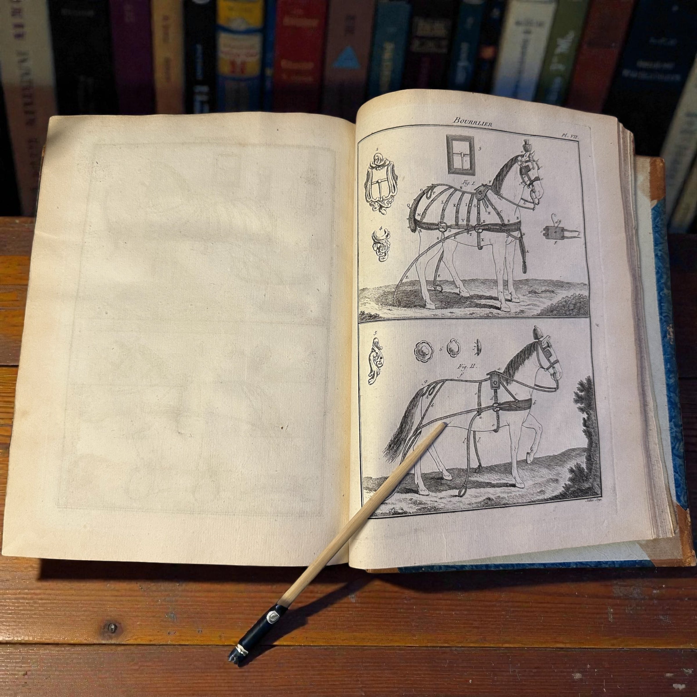 Z Biblioteczki Zofii Potockiej