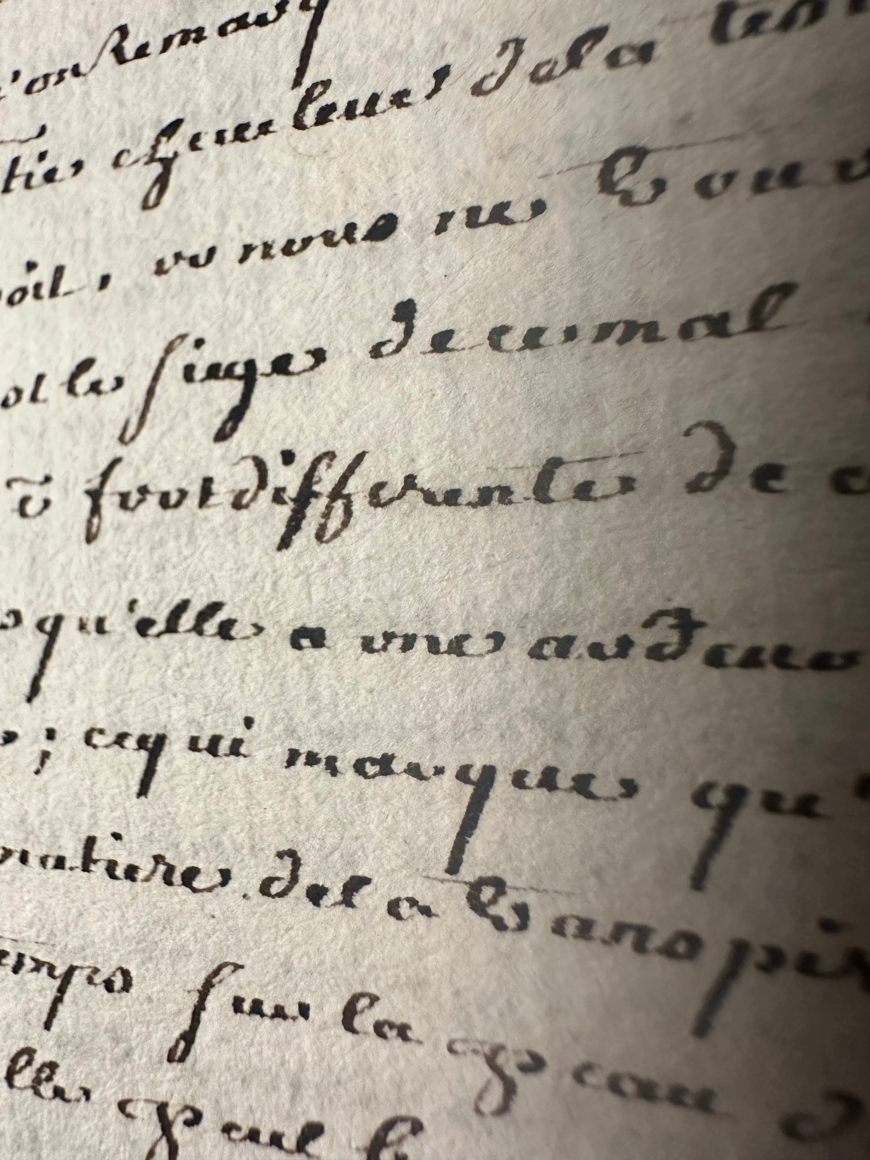 Medycyna Chirurgia rękopis 1734